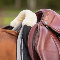 Amortisseur à mémoire de forme Ontario