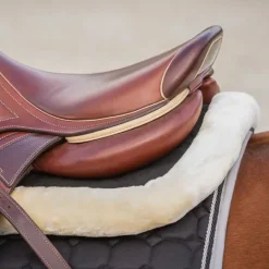 Amortisseur à mémoire de forme Ontario