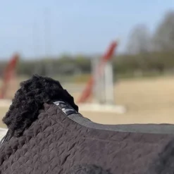 Amortisseur mouton T de T