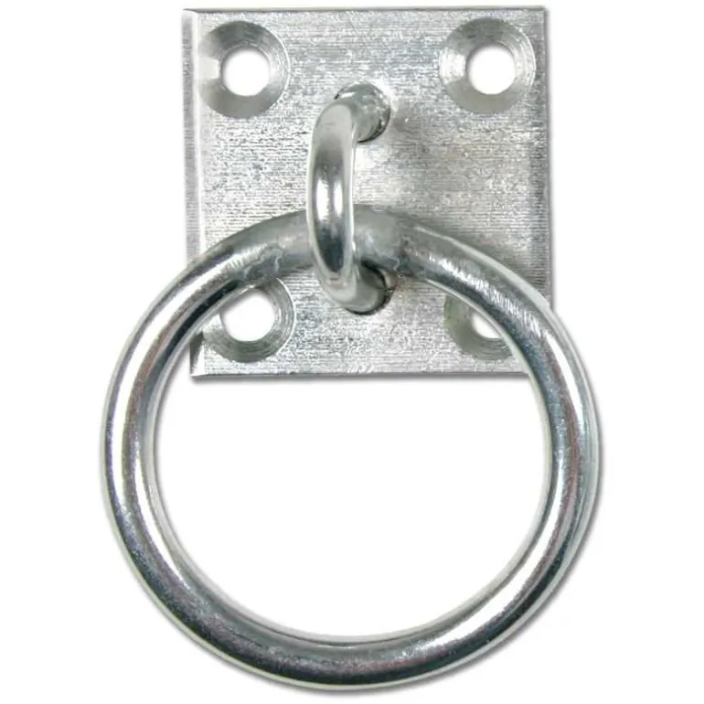 Anneau d’attache Waldhausen