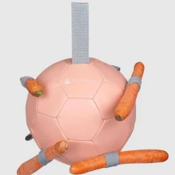 Balle à Carottes Waldhausen