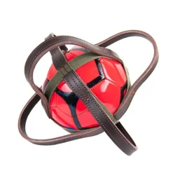 Ballon de horse-ball Canter