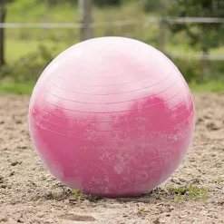 Ballon de jeu pour chevaux QHP