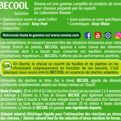 Becool anti-stress Ravene