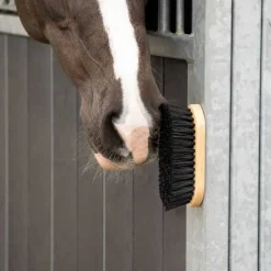 Bouchon aimanté QHP