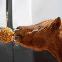Boule de muesli Likit Granola