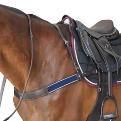 Bricole élastique Canter