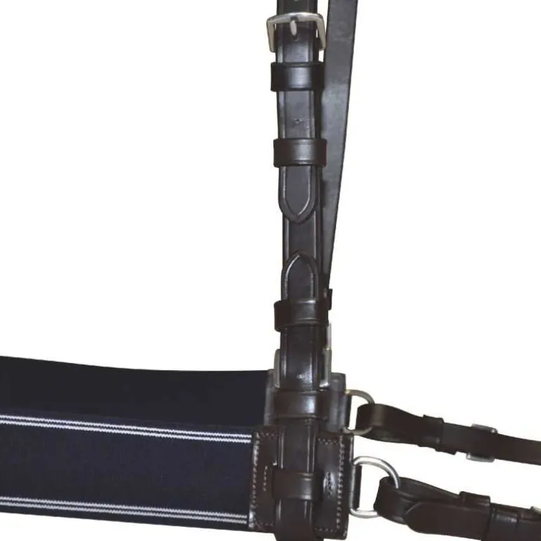 Bricole élastique Canter