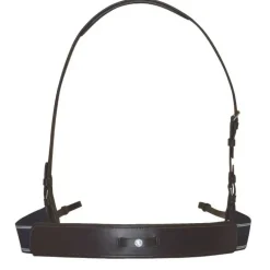 Bricole élastique Canter