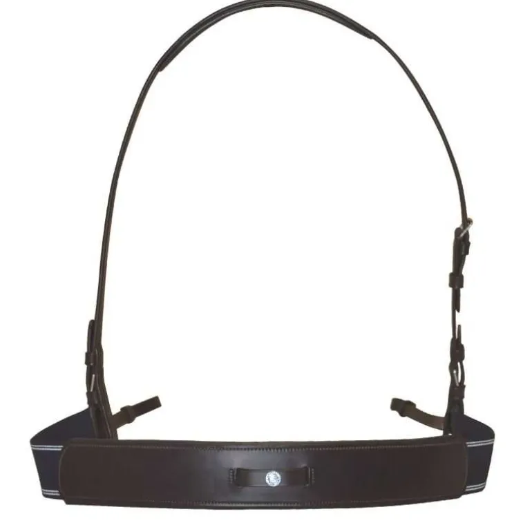 Bricole élastique Canter