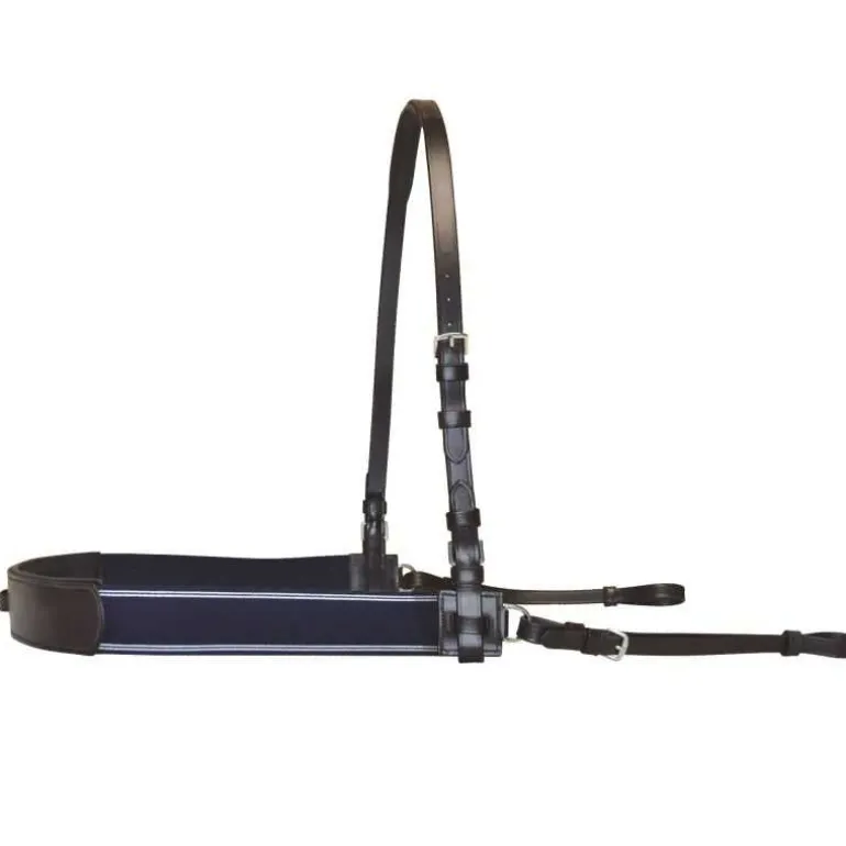 Bricole élastique Canter