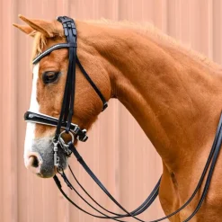 Bride Elégance Stationata