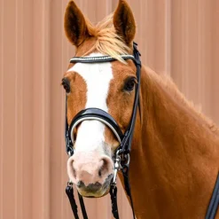 Bride Elégance Stationata