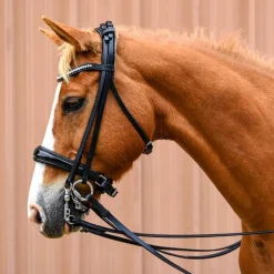 Bride Elégance Stationata