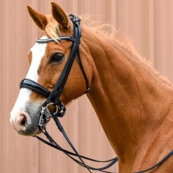 Bride Elégance Stationata