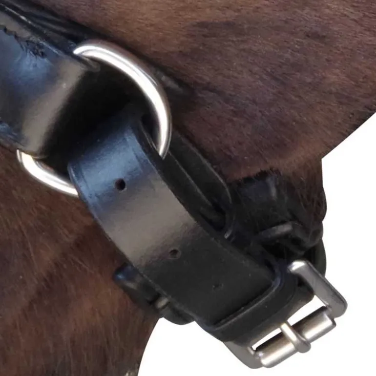 Bride pull-back Euro CANTER