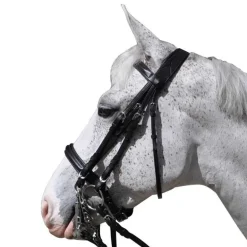 Bride pull-back Hagen Flags&Cup