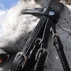 Bride pull-back Hagen Flags&Cup