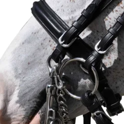 Bride pull-back Hagen Flags&Cup