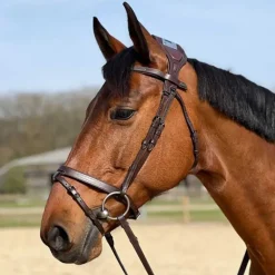 Bridon à pont Chagall T de T