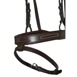 Bridon à pont Chagall T de T