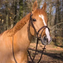 Bridon à pont Manet T de T