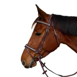 Bridon Aachen Flags&Cup