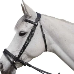 Bridon Aachen Flags&Cup