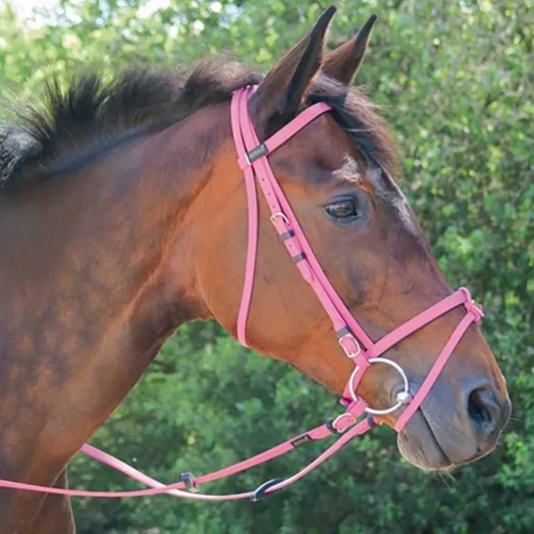 Bridon Biotack T de T