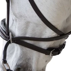 Bridon Bitless Evolution Canter