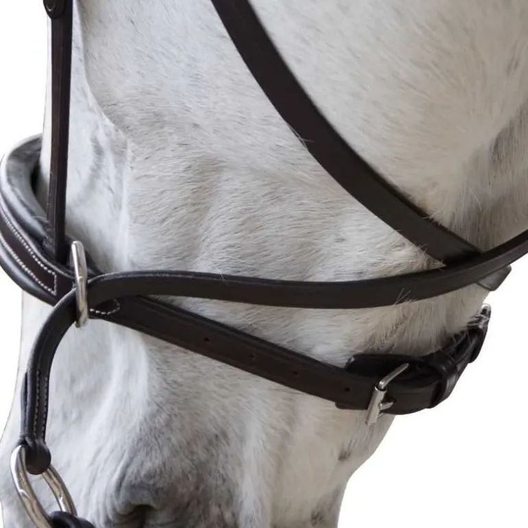 Bridon Bitless Evolution Canter