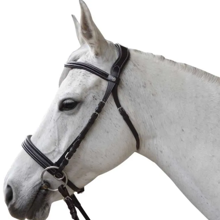 Bridon Bitless Evolution Canter