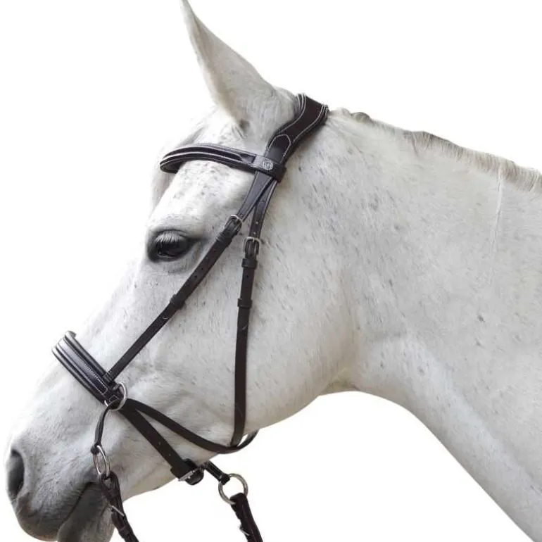 Bridon Bitless Evolution Canter