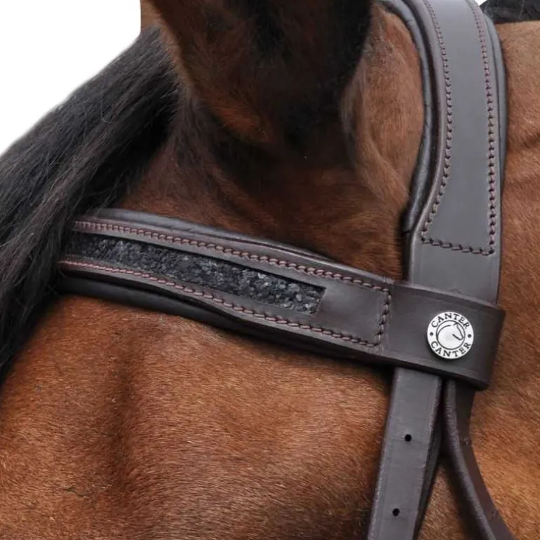 Bridon Canter Black strass