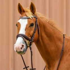 Bridon combiné frontal Strass Stationata