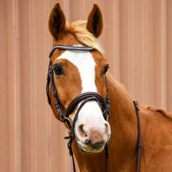 Bridon combiné frontal Strass Stationata