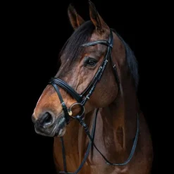 Bridon combiné frontal Strass Stationata