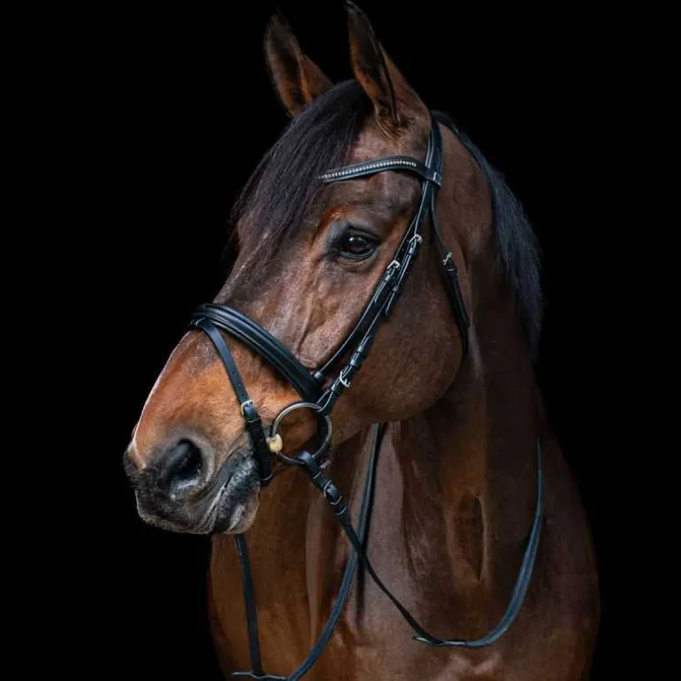 Bridon combiné frontal Strass Stationata