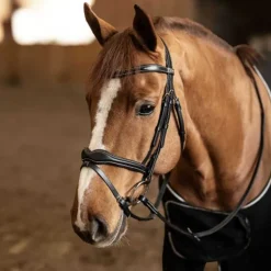 Bridon combiné Wavy HFI Master