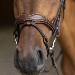 Bridon combiné Wavy HFI Master