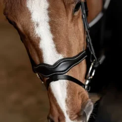 Bridon combiné Wavy HFI Master