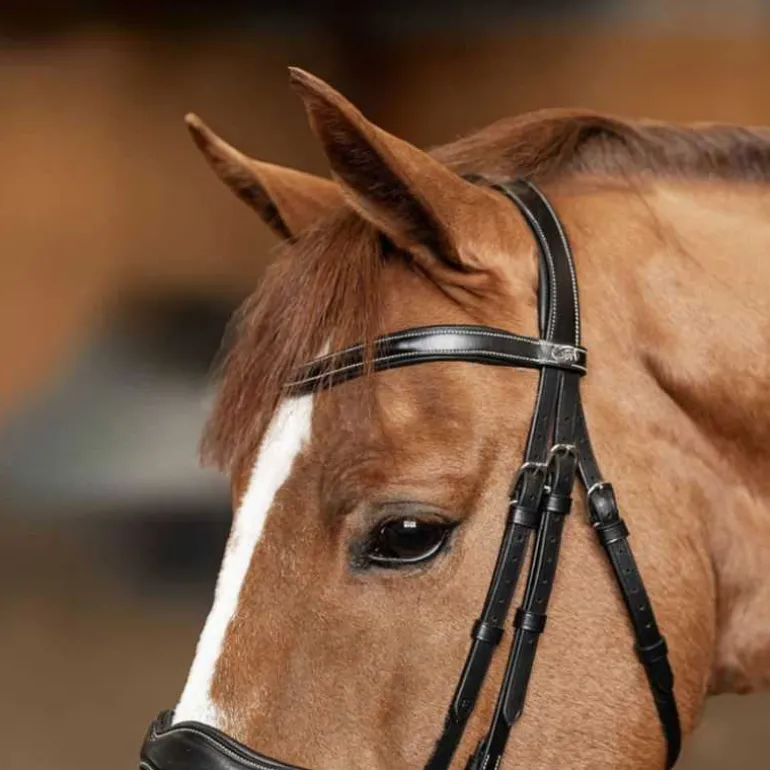 Bridon combiné Wavy HFI Master