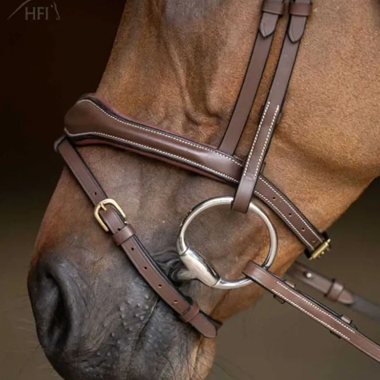 Bridon combiné Wavy HFI Master