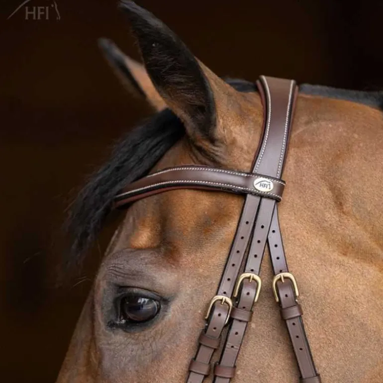 Bridon combiné Wavy HFI Master