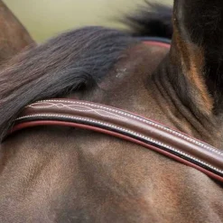 Bridon Croisé Mexicain HFI Master