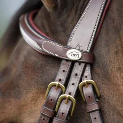 Bridon Croisé Mexicain HFI Master