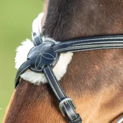 Bridon Croisé Mexicain HFI Master