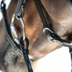 Bridon Croisé Mexicain HFI Master
