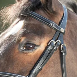 Bridon Croisé Mexicain HFI Master