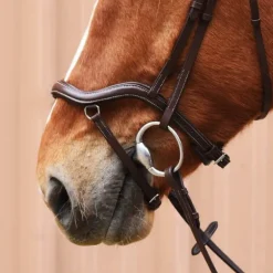 Bridon Cuir Soft et Anatomique Stationata